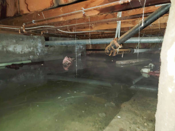 Best Ceiling water damage repair  in Buffalo, NY