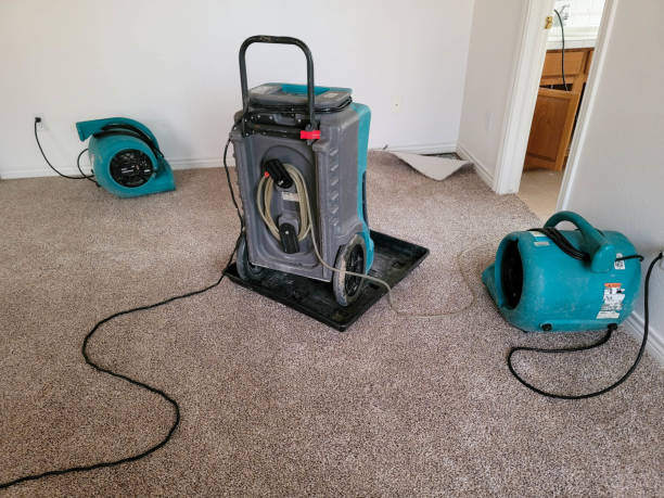 Best Water damage contractors near me  in Buffalo, NY