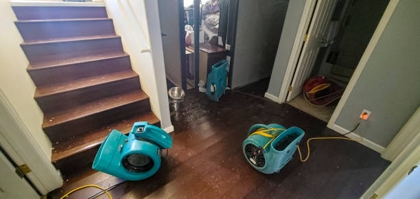 Best Flooded house restoration  in Buffalo, NY