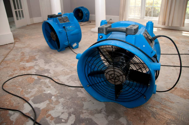 Best Commercial water damage restoration  in Buffalo, NY
