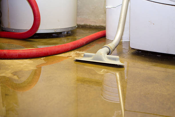 Best Water damage restoration near me  in Buffalo, NY