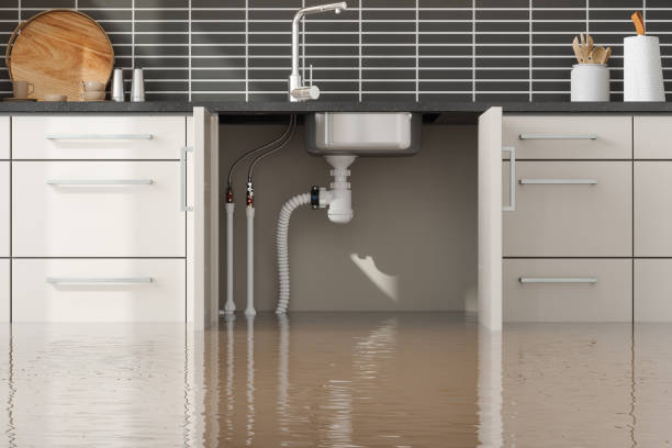 Best Basement water damage restoration  in Buffalo, NY