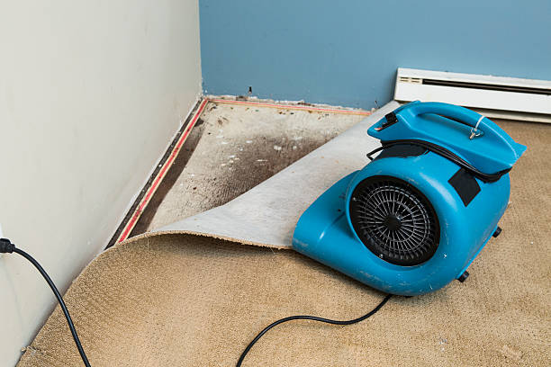 Best Water damage restoration insurance claims  in Buffalo, NY